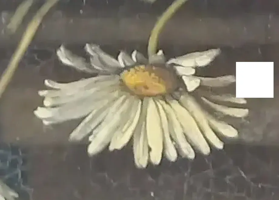 blüte.webp