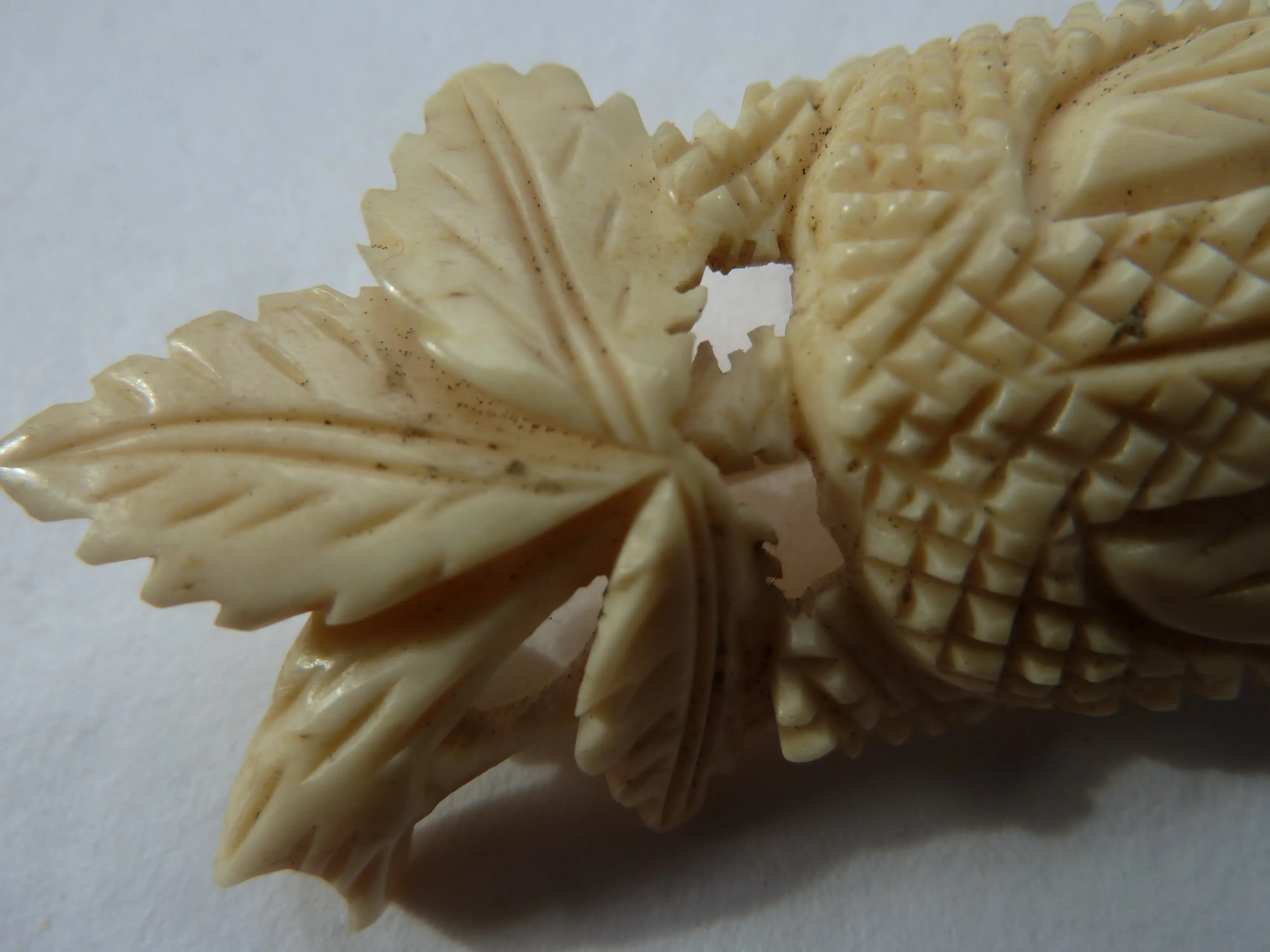 P1210239.webp