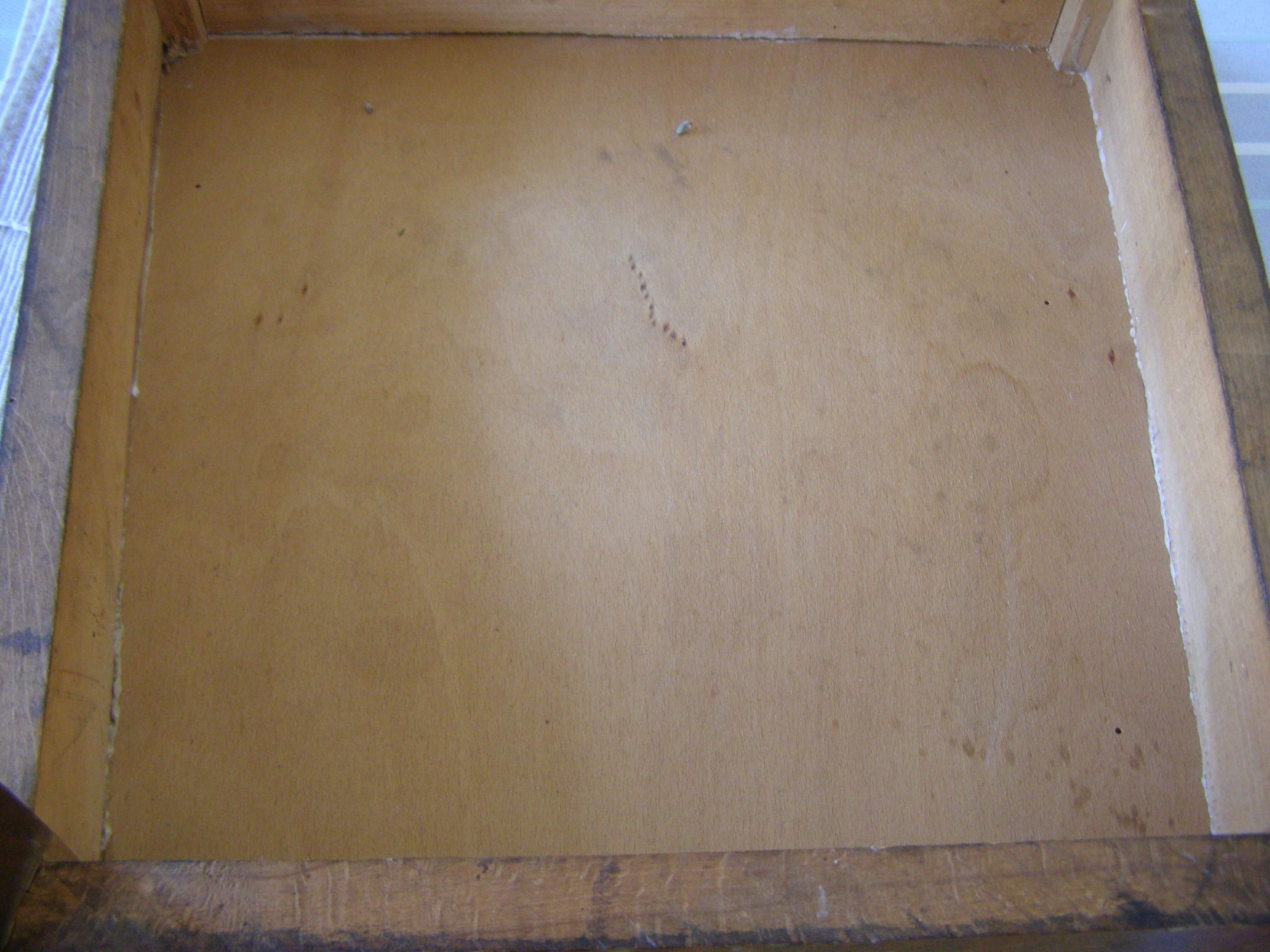P1010165.jpg