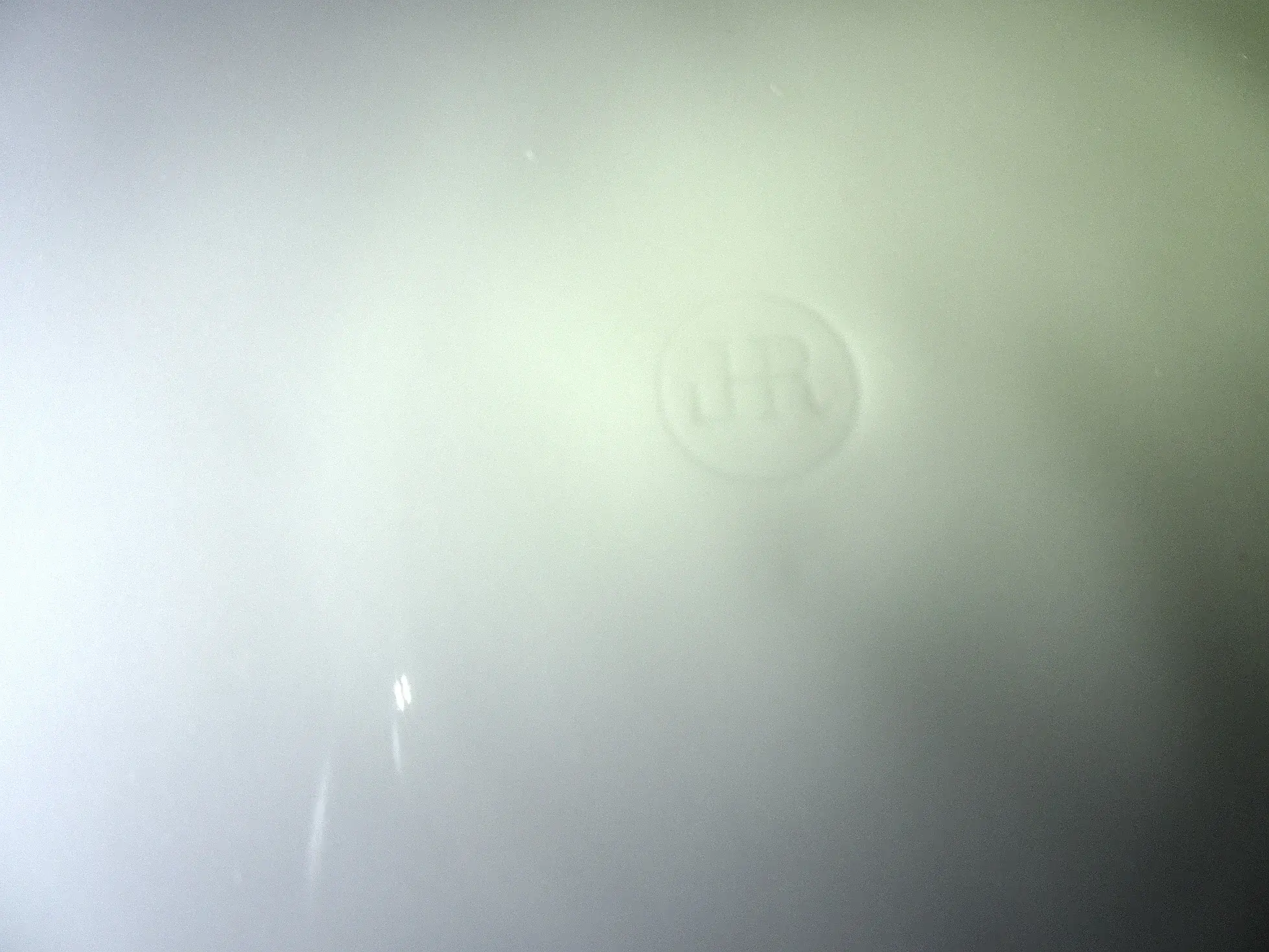 4.webp