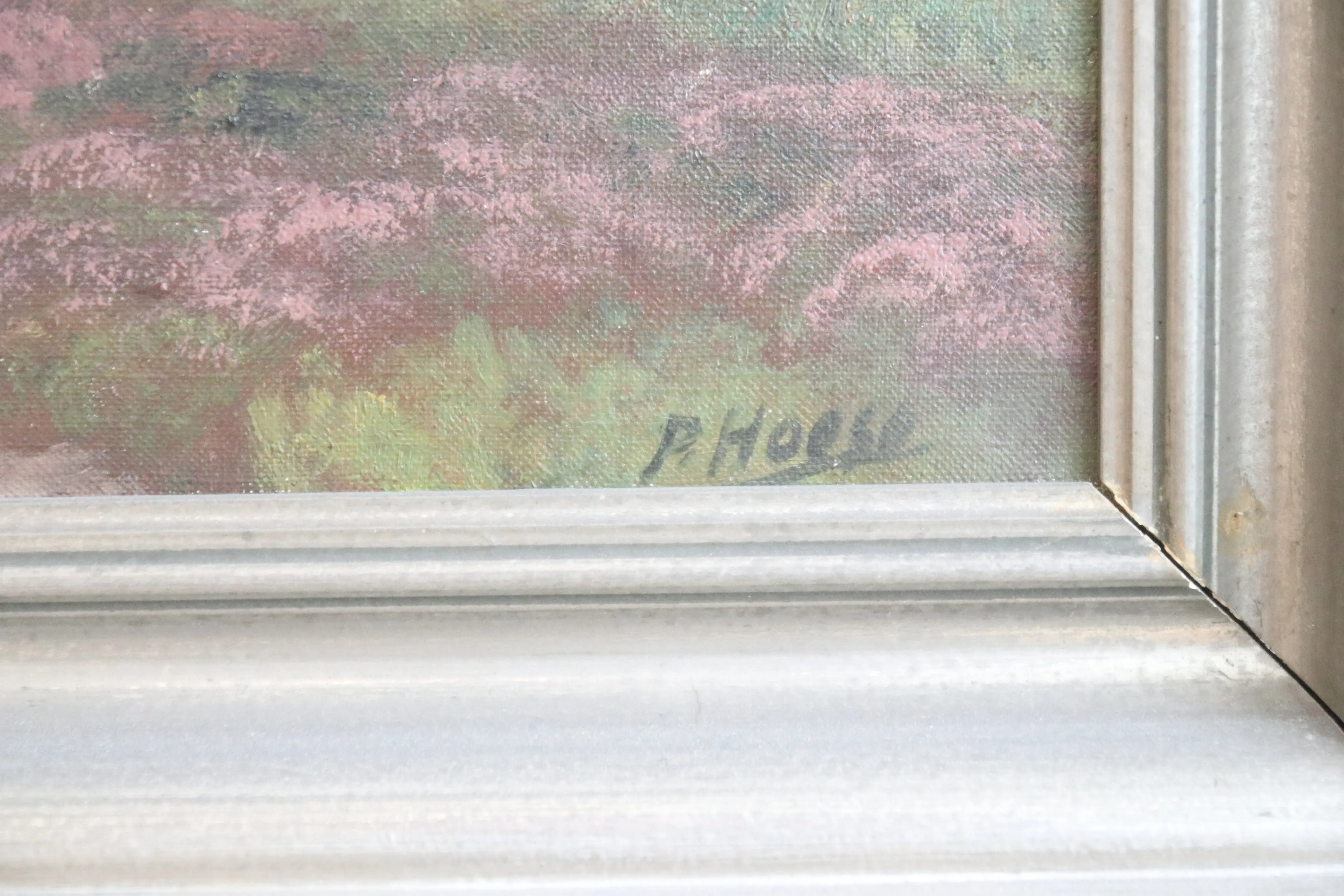 IMG_9277.webp