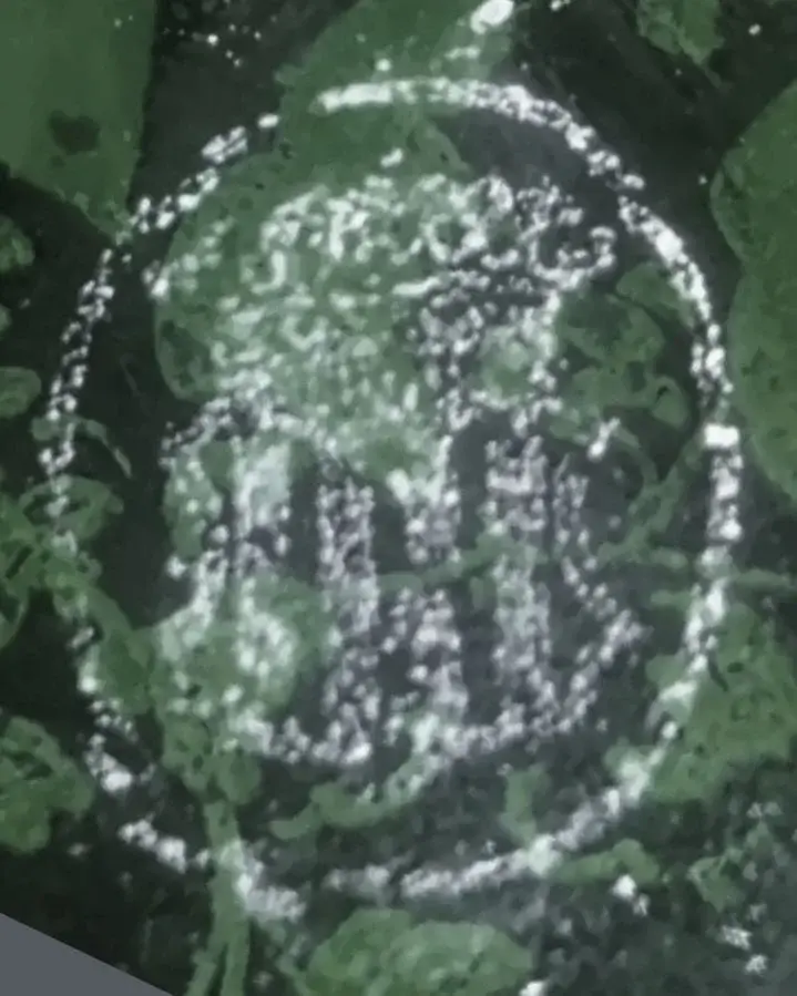 GLAS Marke unter Krone_flip.webp