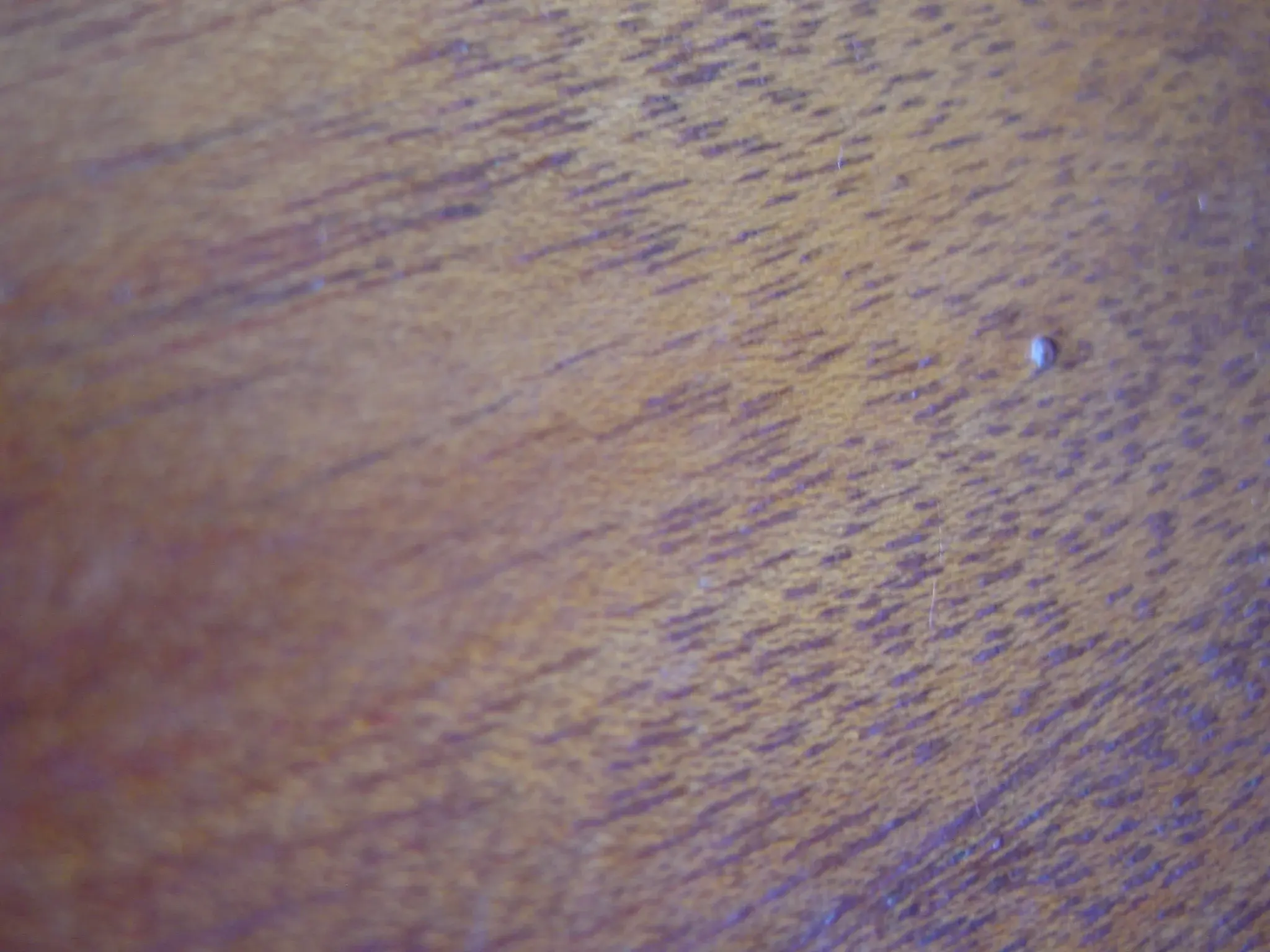 DSC03305.webp