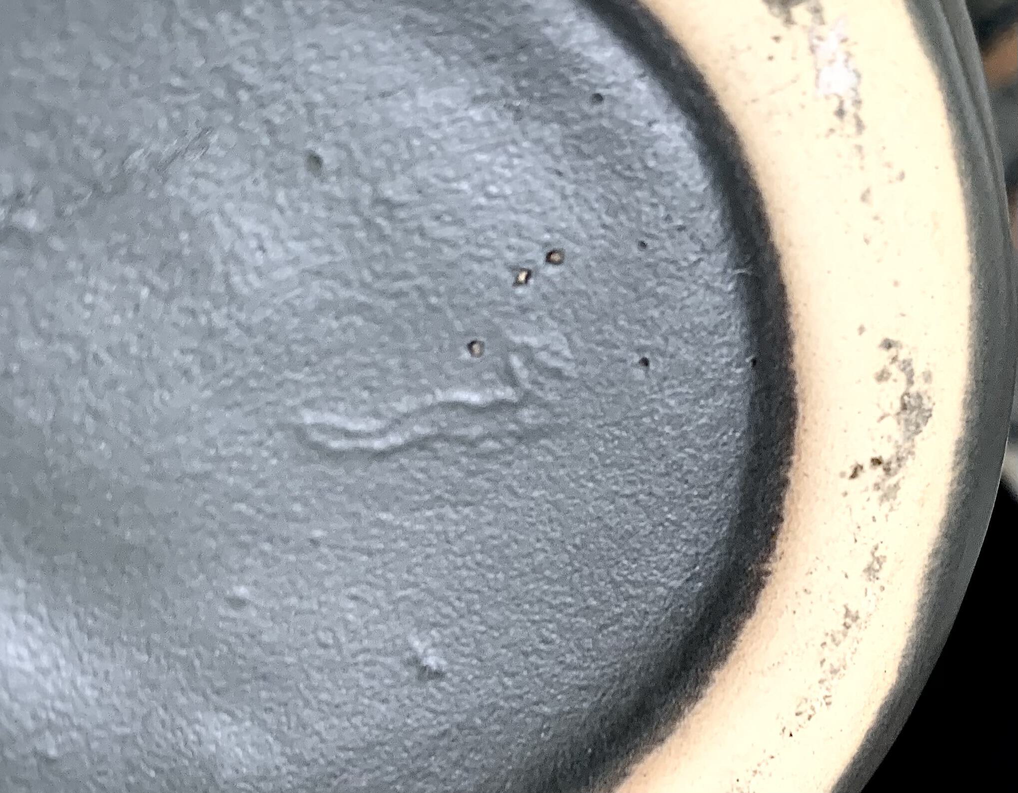 IMG_4391.jpeg