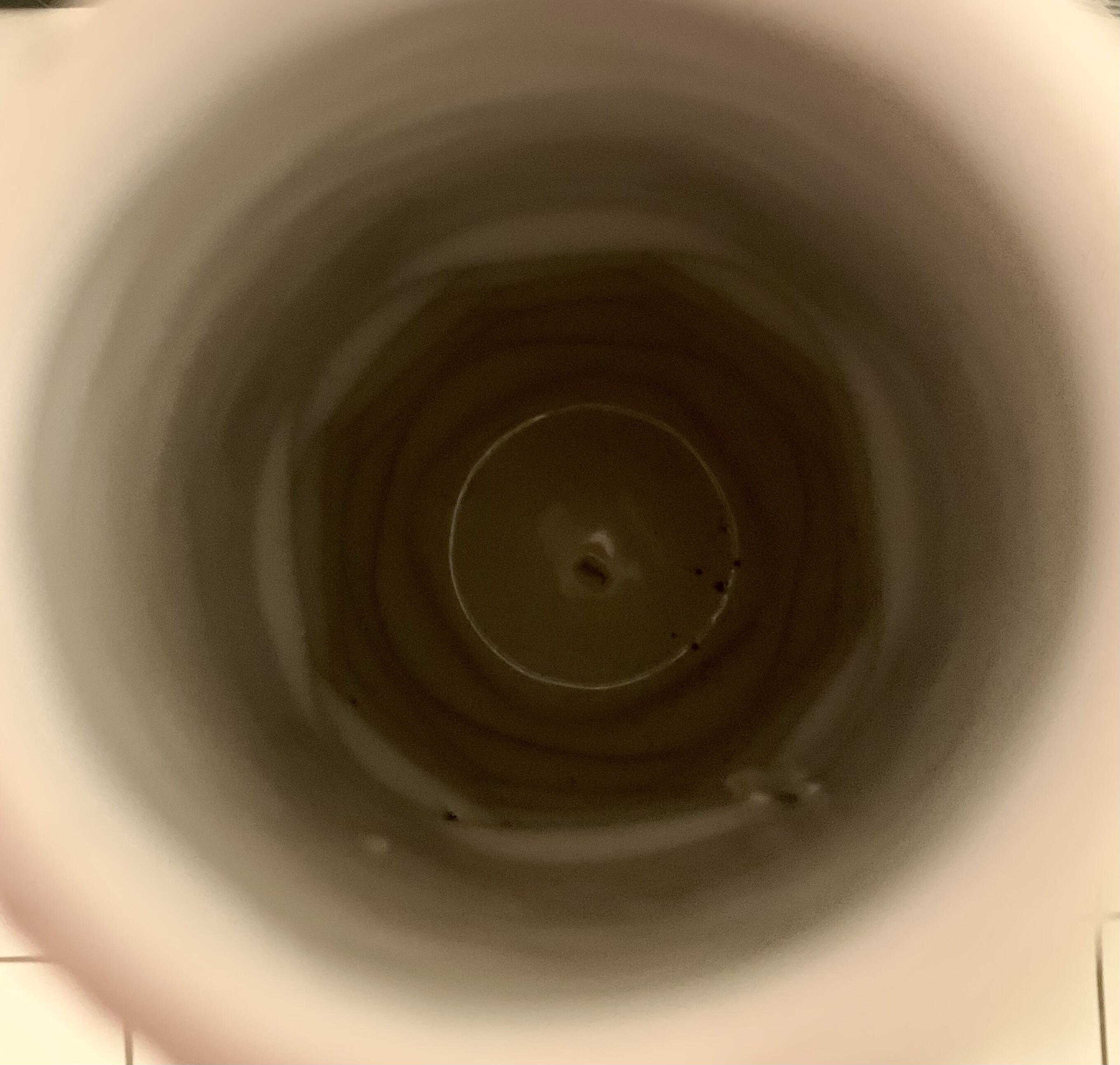 IMG_4437.jpeg