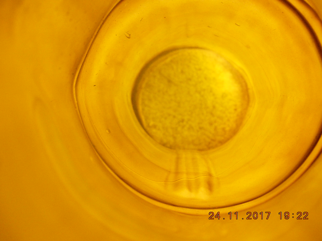 DSCN9236.JPG