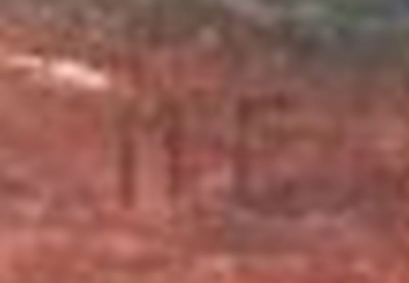 Signatur.jpg