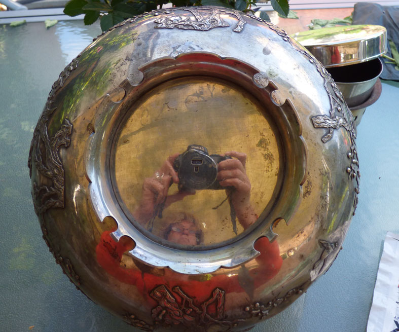 chin schale von unten.jpg