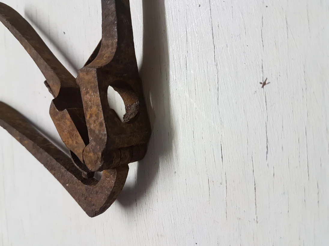 20180705_211932.jpg