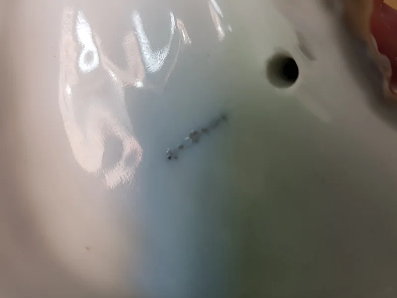 20180708_092254.jpg