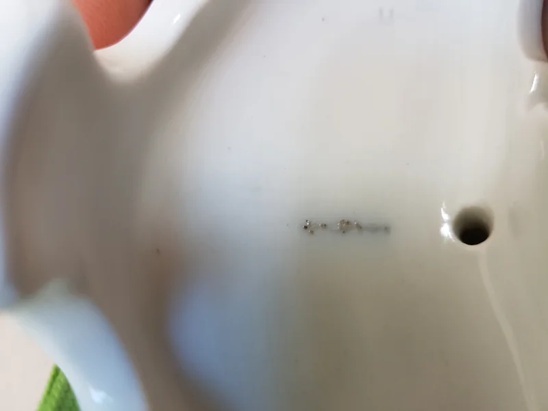 20180708_092055.jpg