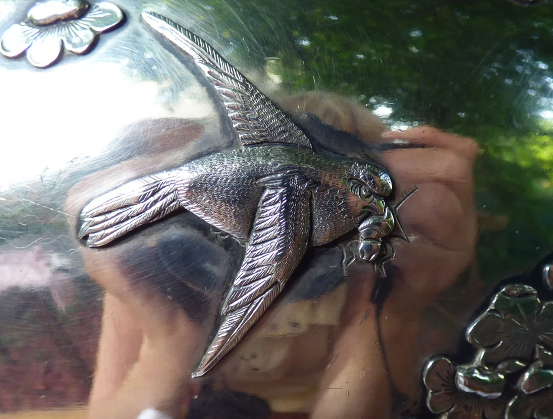 bird wth an insect.jpg