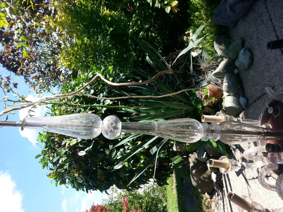 20180619_153057.jpg