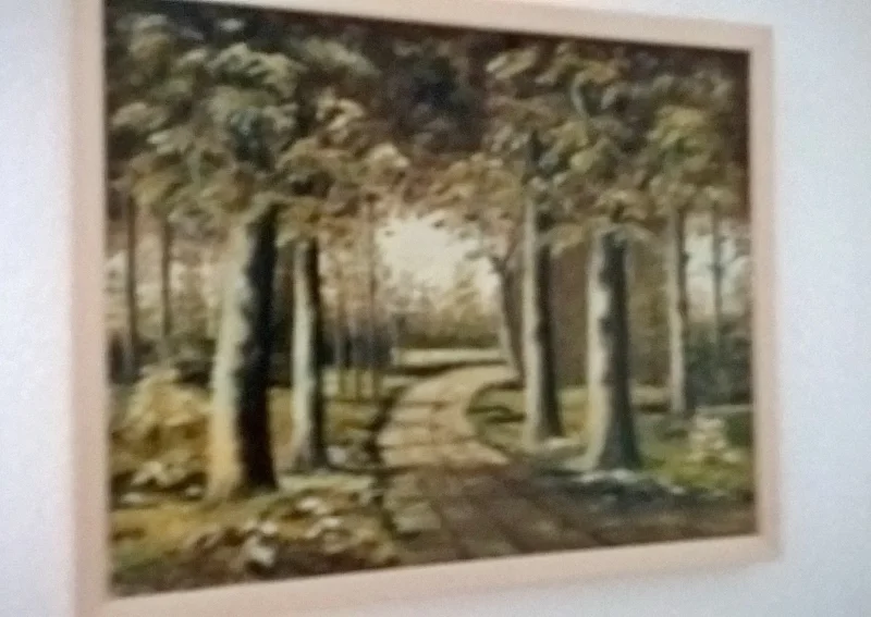 S. Kohler