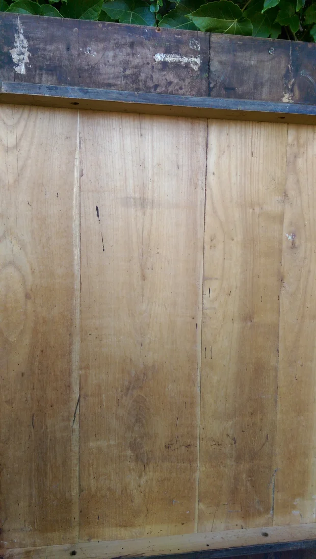 IMAG0787.jpg