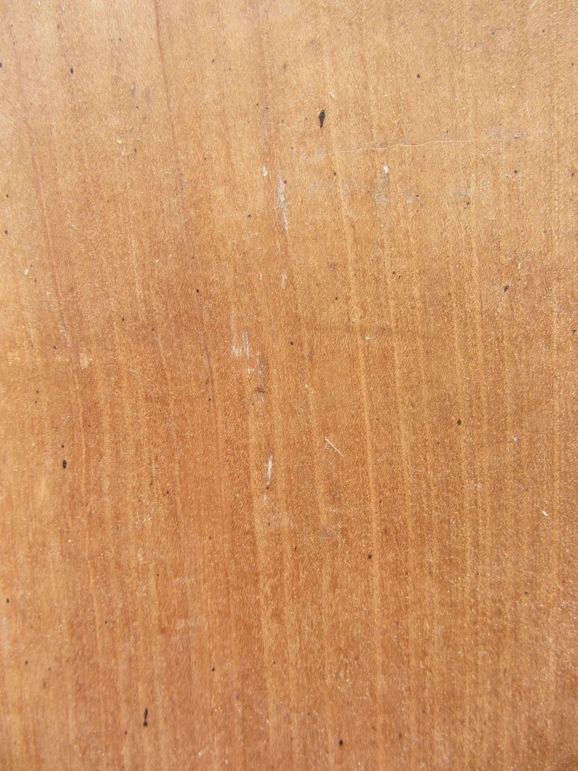 August 2018 078.JPG