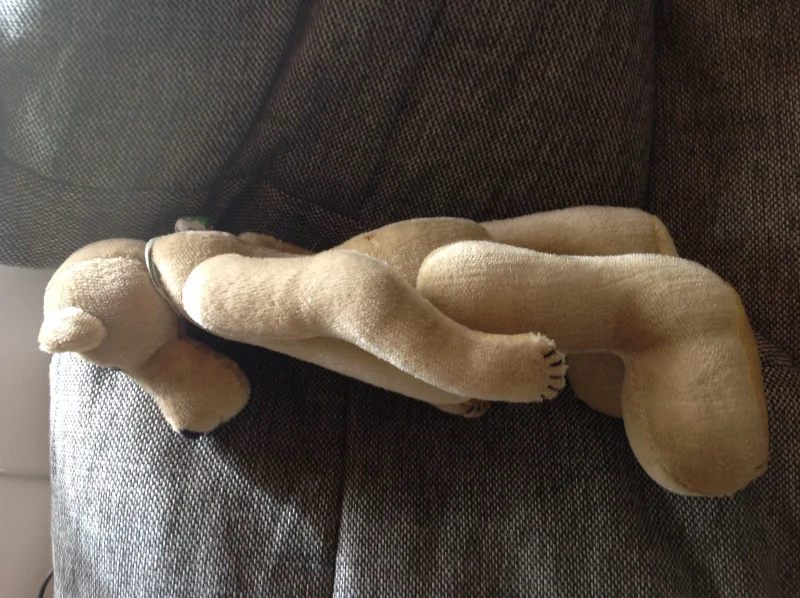 image.jpg