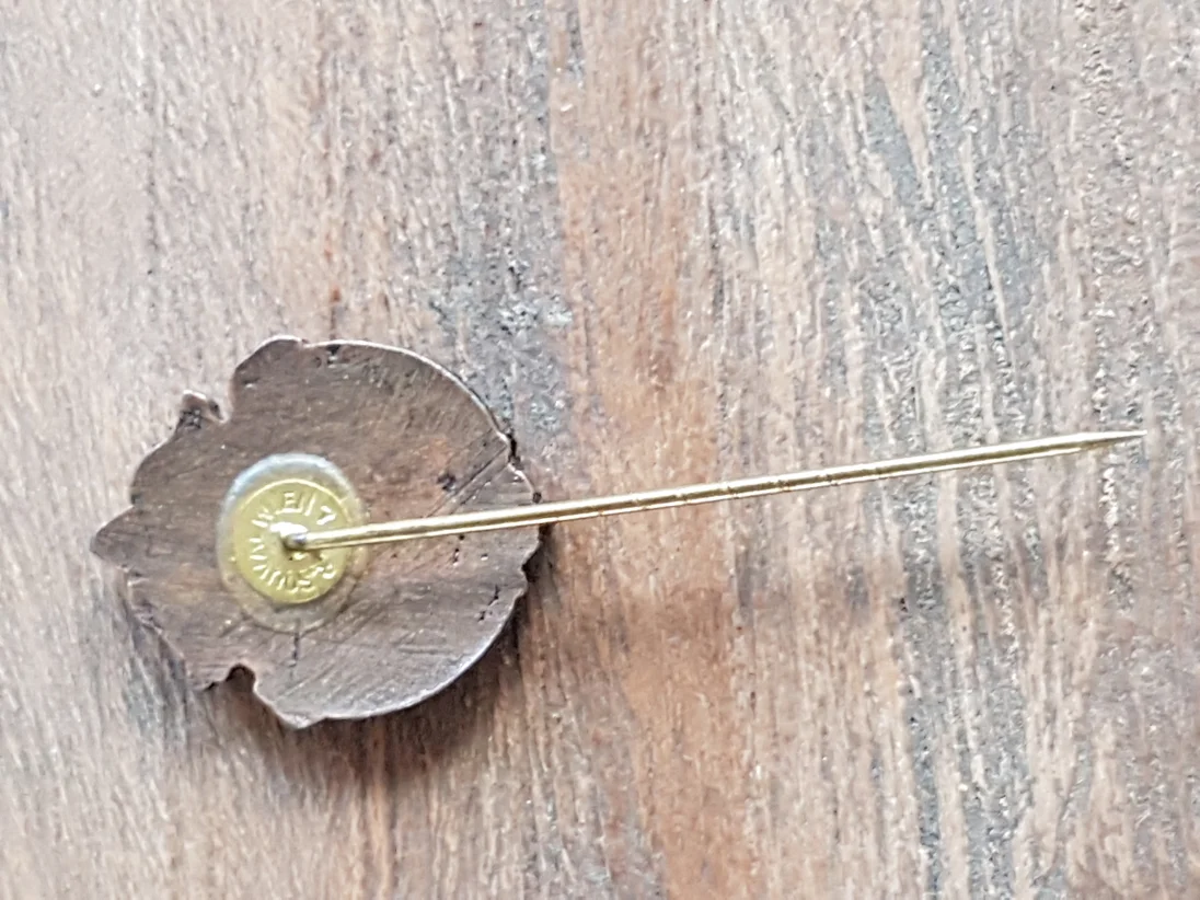 20180924_170647.jpg