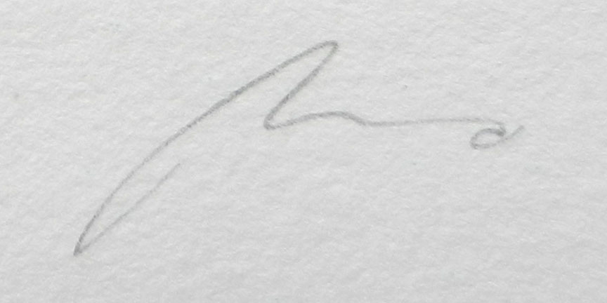 Die Signatur