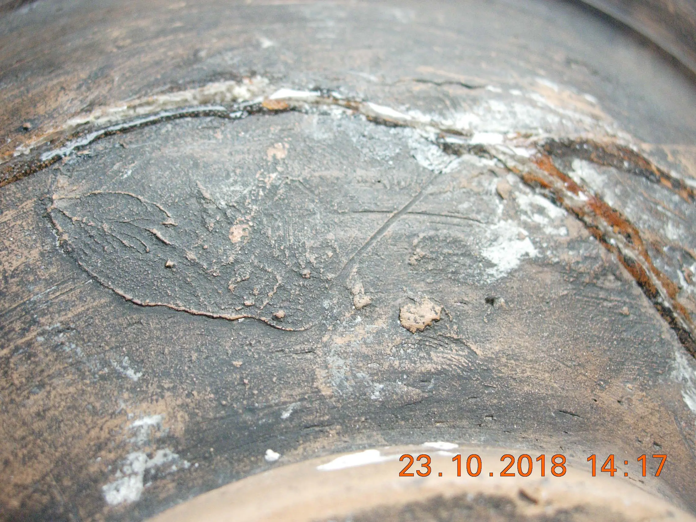DSCN3275.JPG