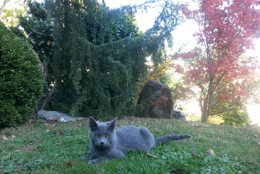20181022_161757-1.jpg