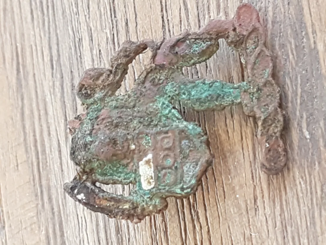 20181117_091136.jpg