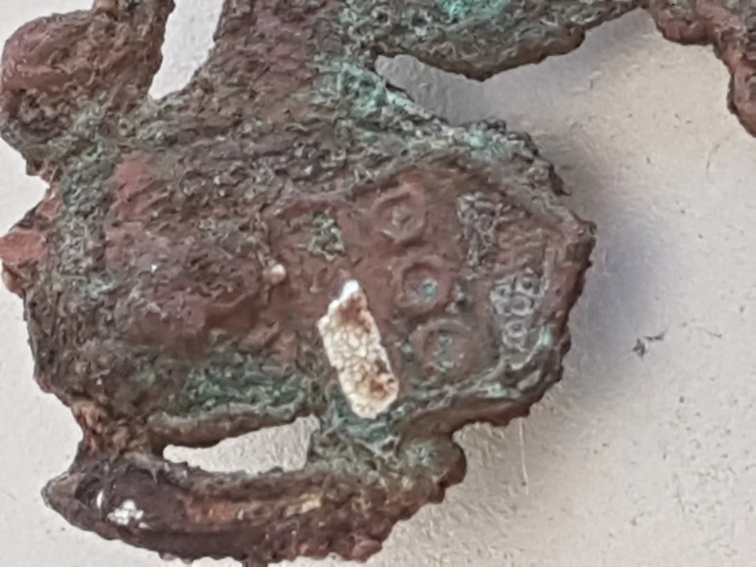 20181117_091238.jpg