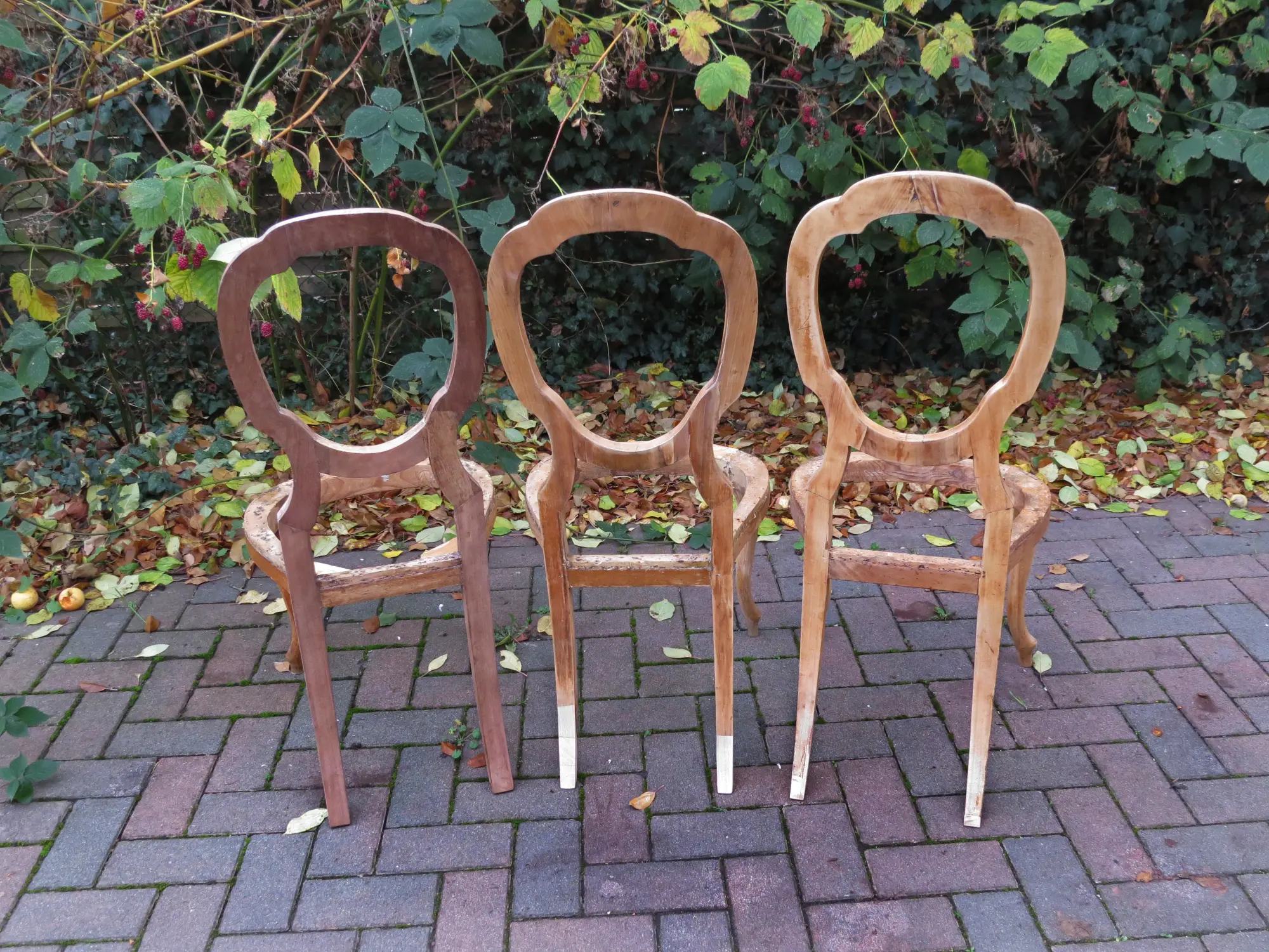 stühle von hinten.jpg