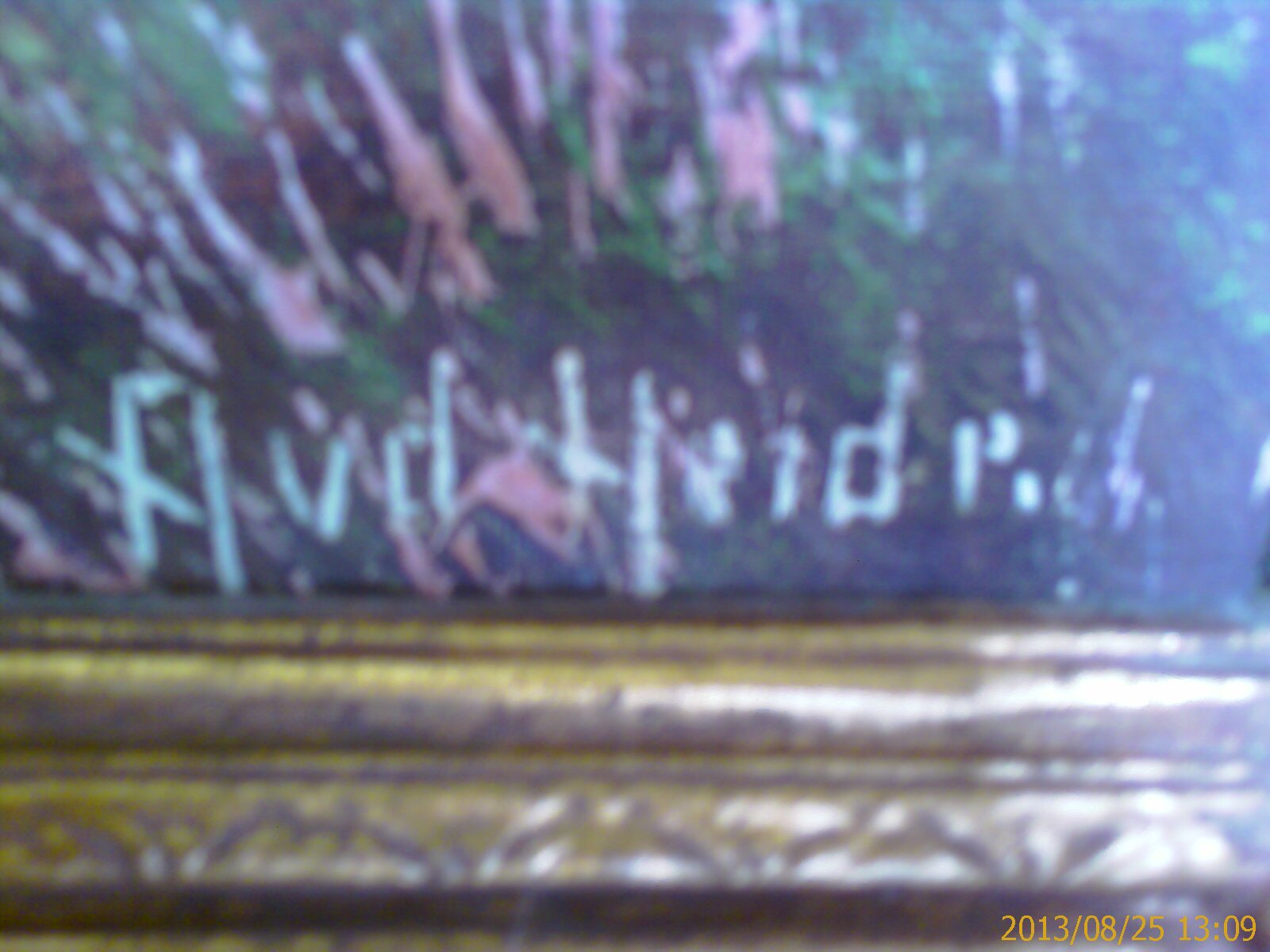 24.8.13 041.jpg