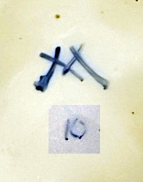 M 10.jpg