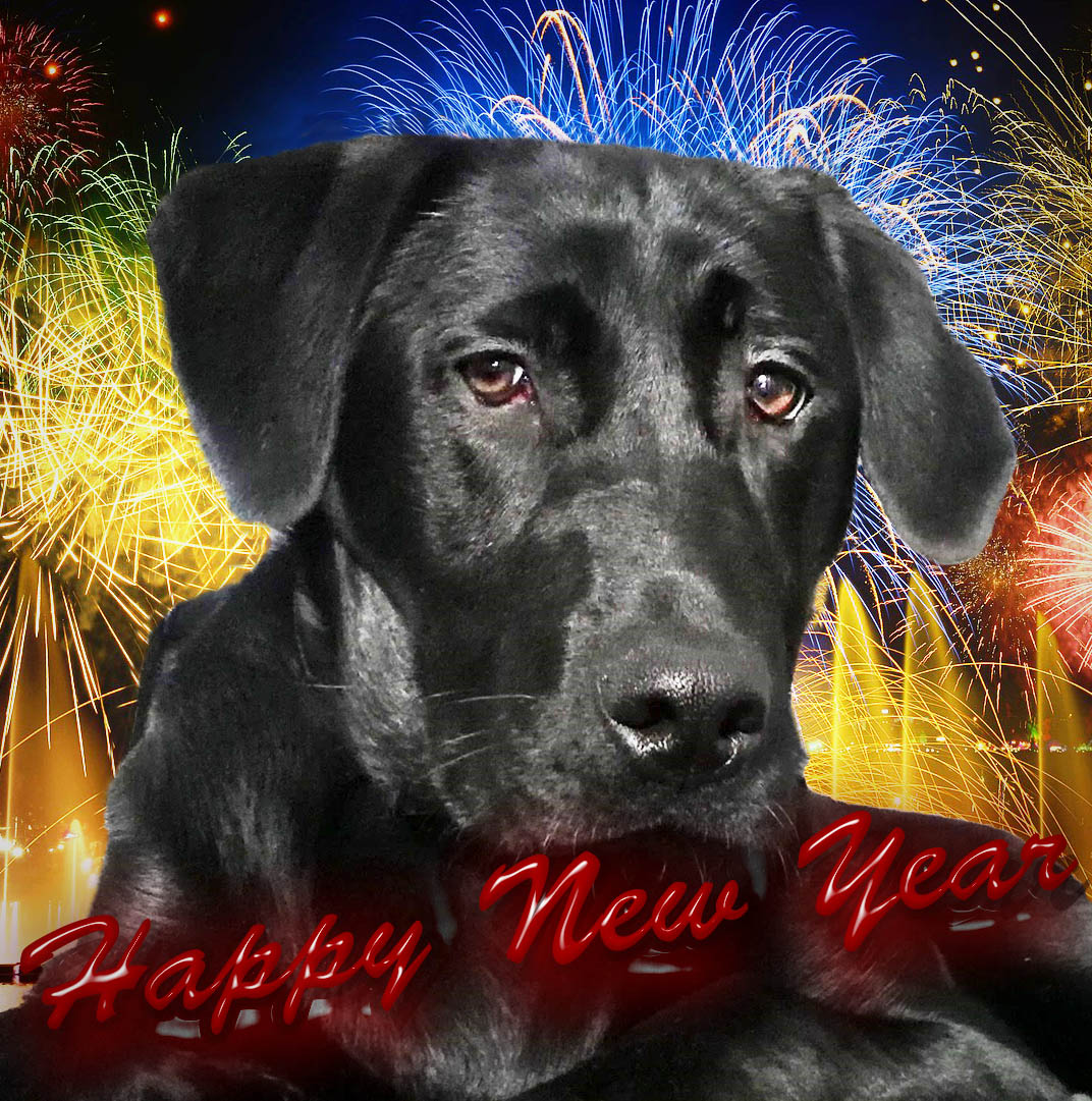 new-years-eve-3882231_1920aa.jpg