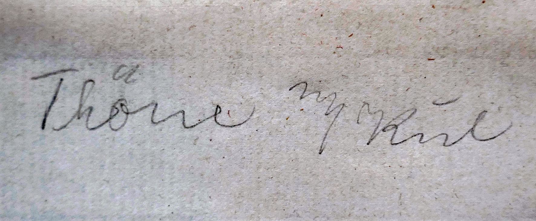 Rückseitiger Schriftzug (Kontrast erhöht)