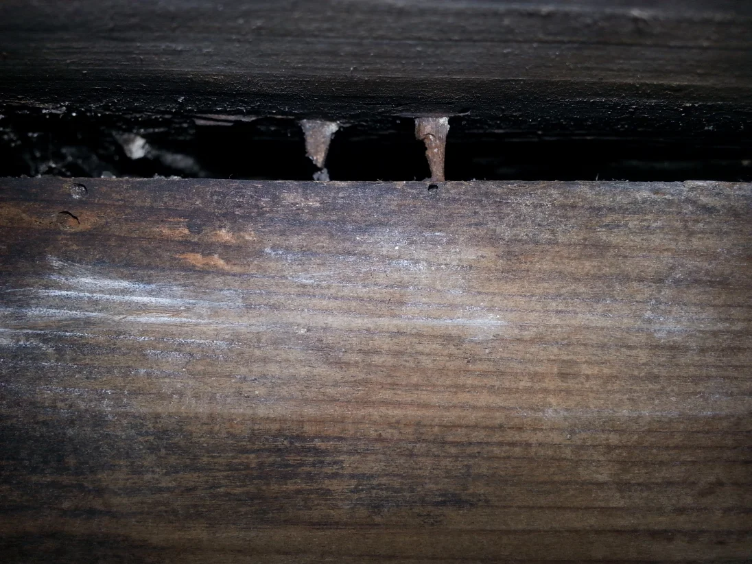 20190112_194825.jpg
