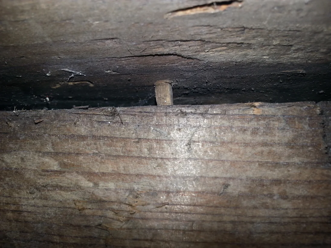 20190112_194408.jpg