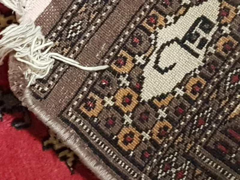 20190119_211636.jpg