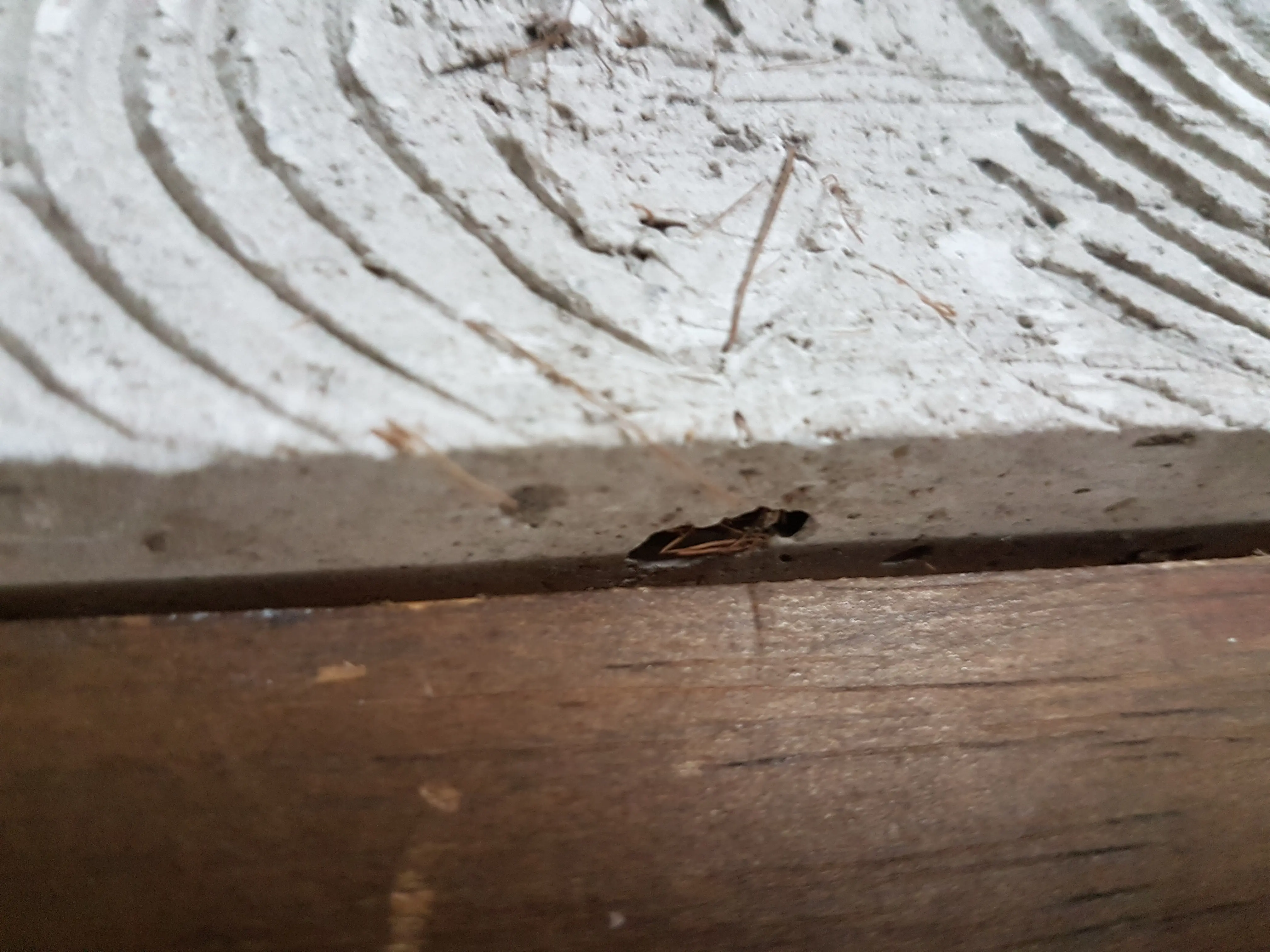 20190127_124046.jpg