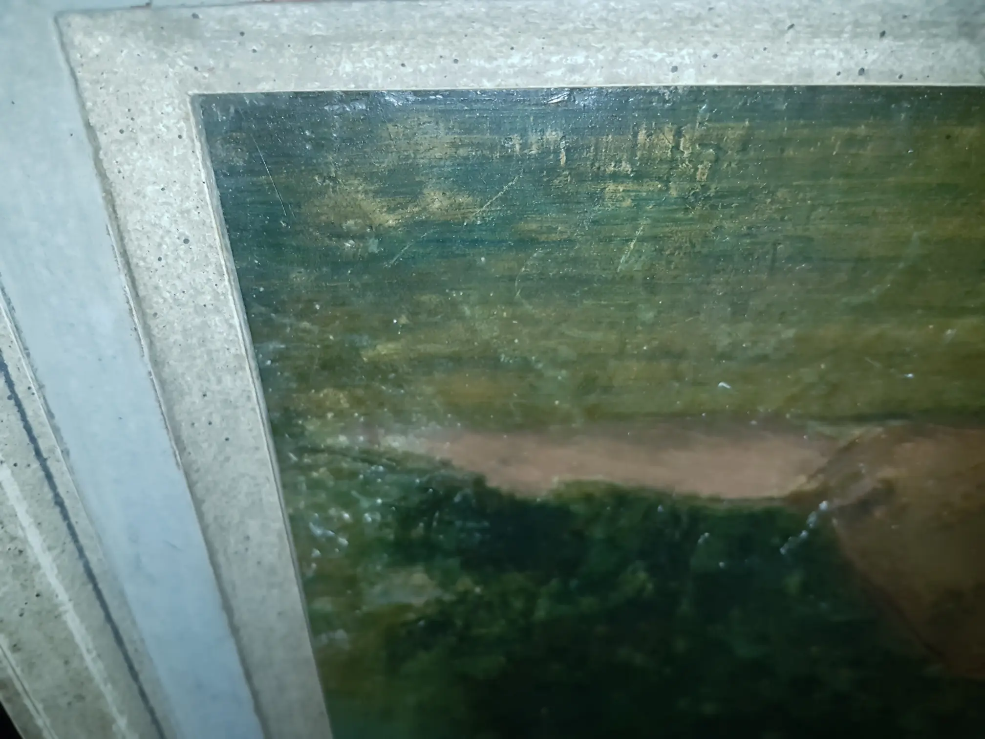 20190131_114757.jpg