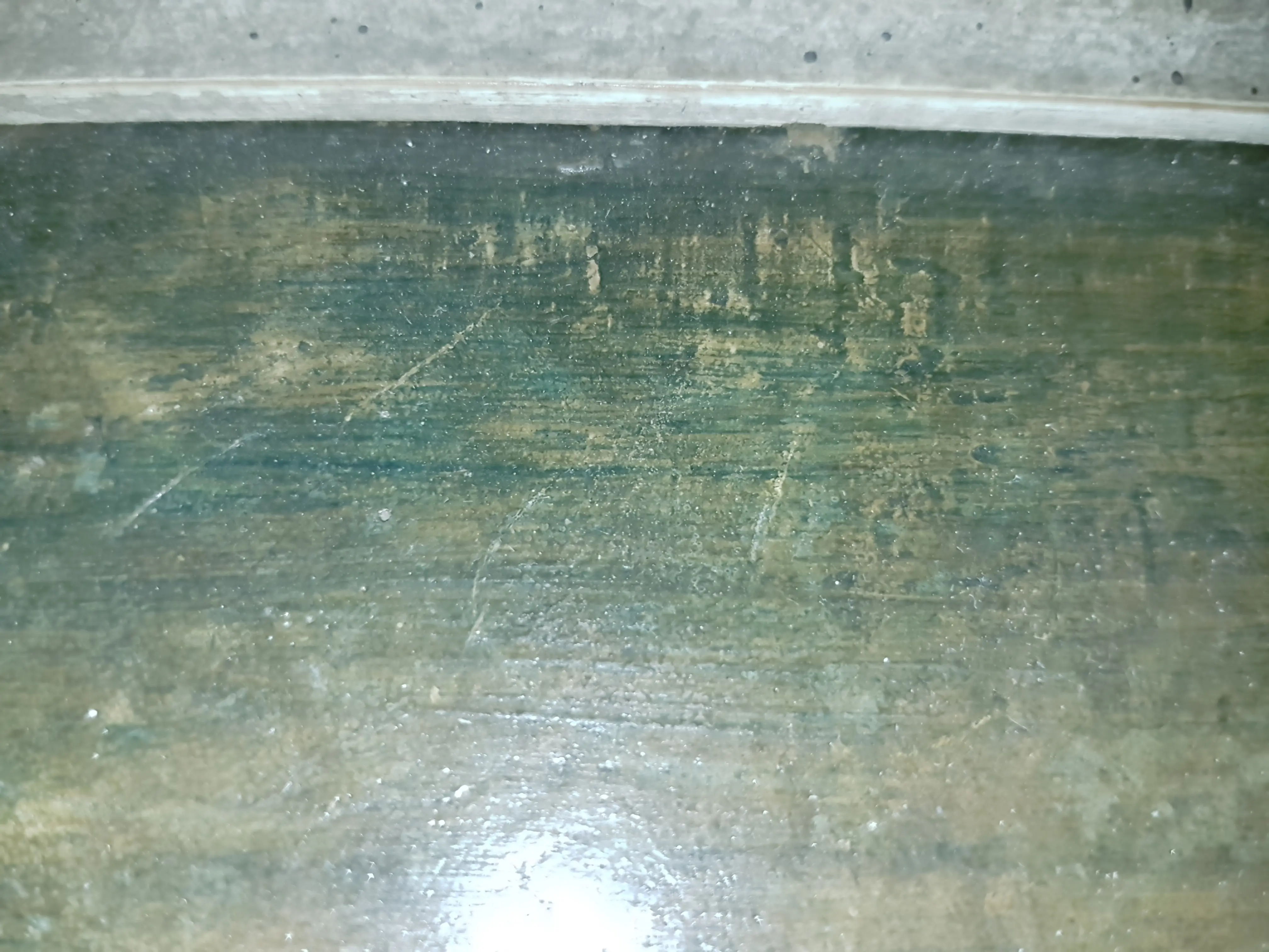 20190131_114944.jpg