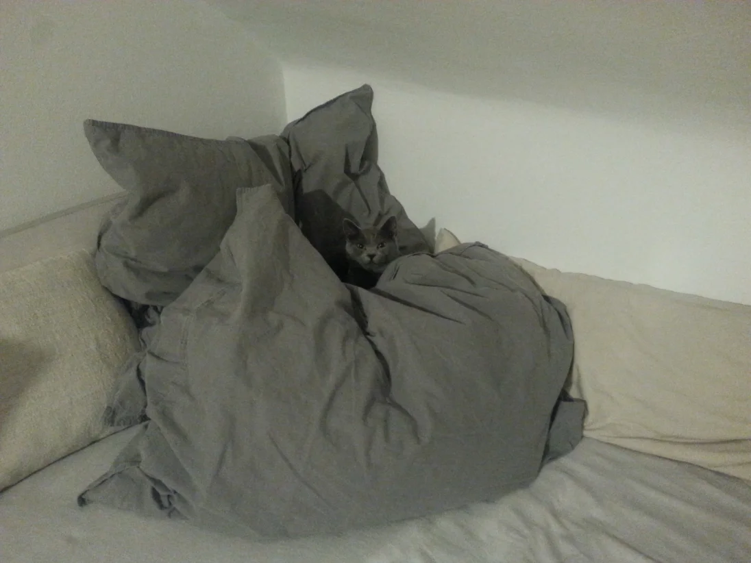20190201_212245.jpg