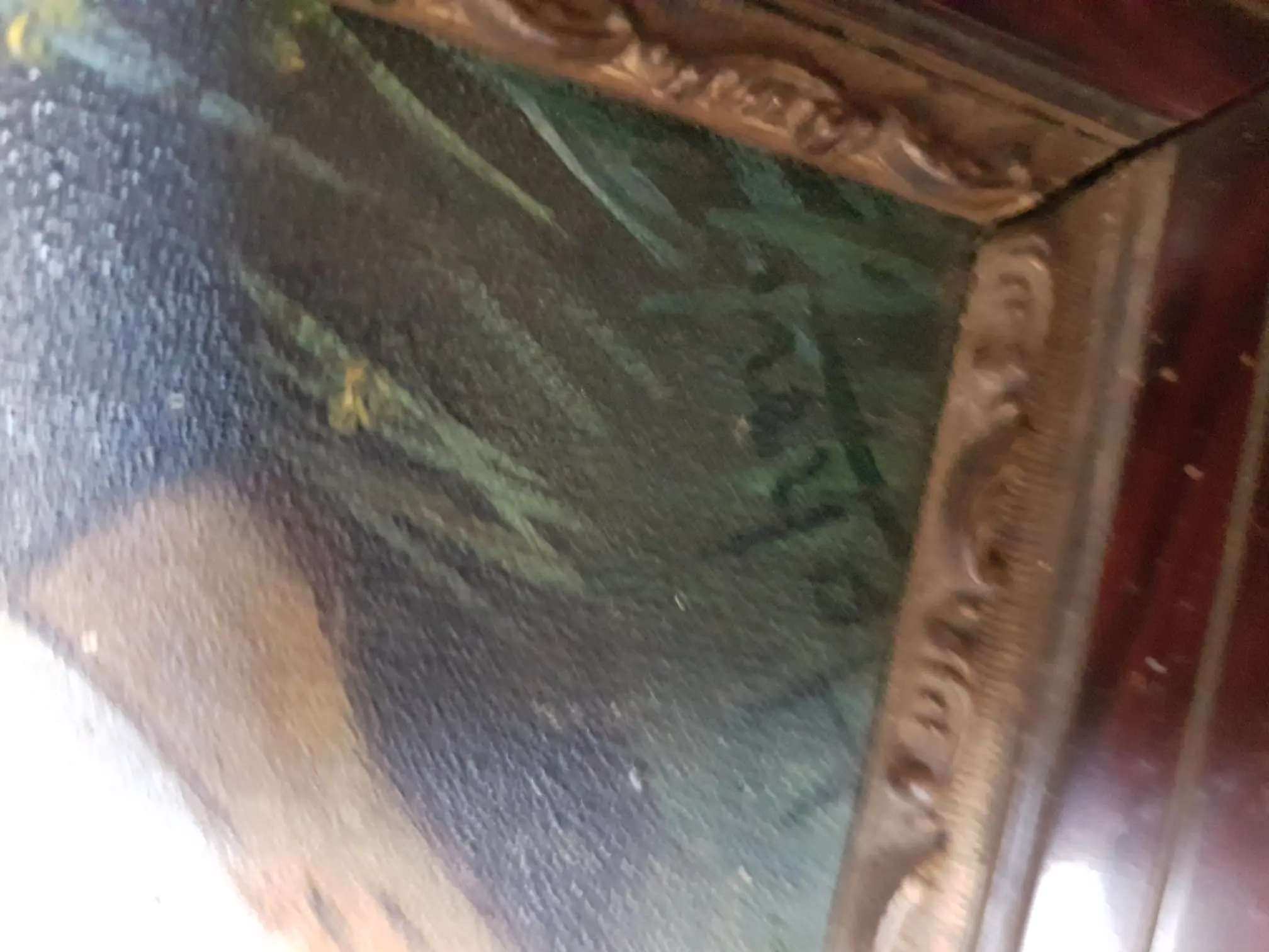 20190205_153259.jpg