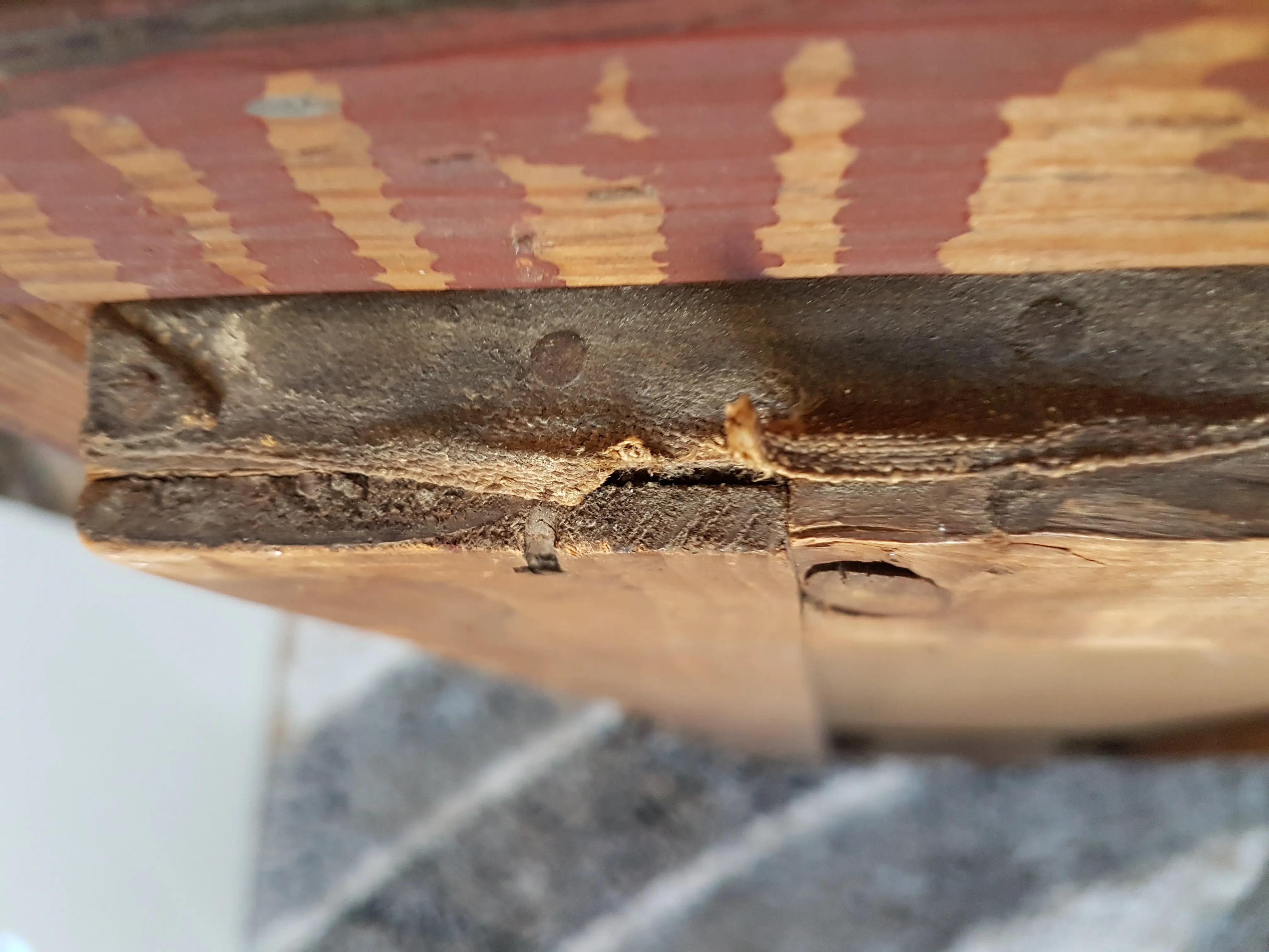 20190205_153619.jpg