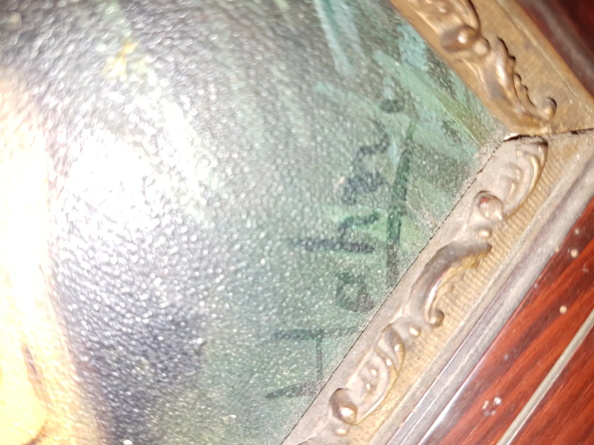 20190204_213720.jpg