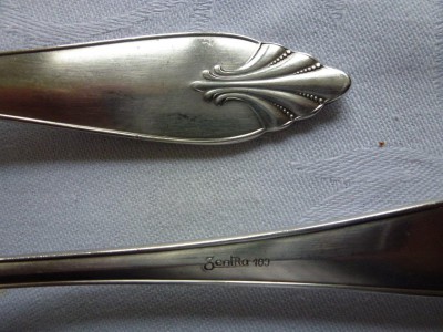 P1000411.jpg