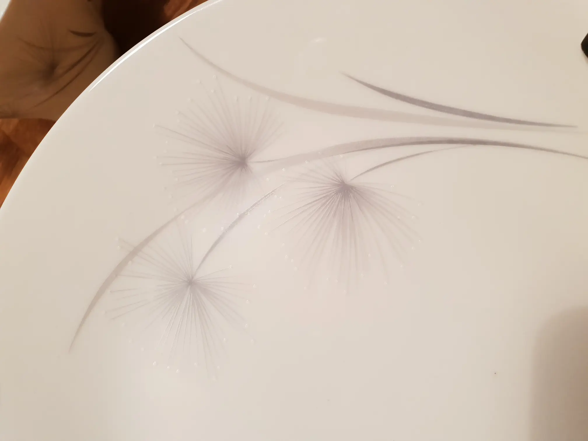 20190208_181919.jpg