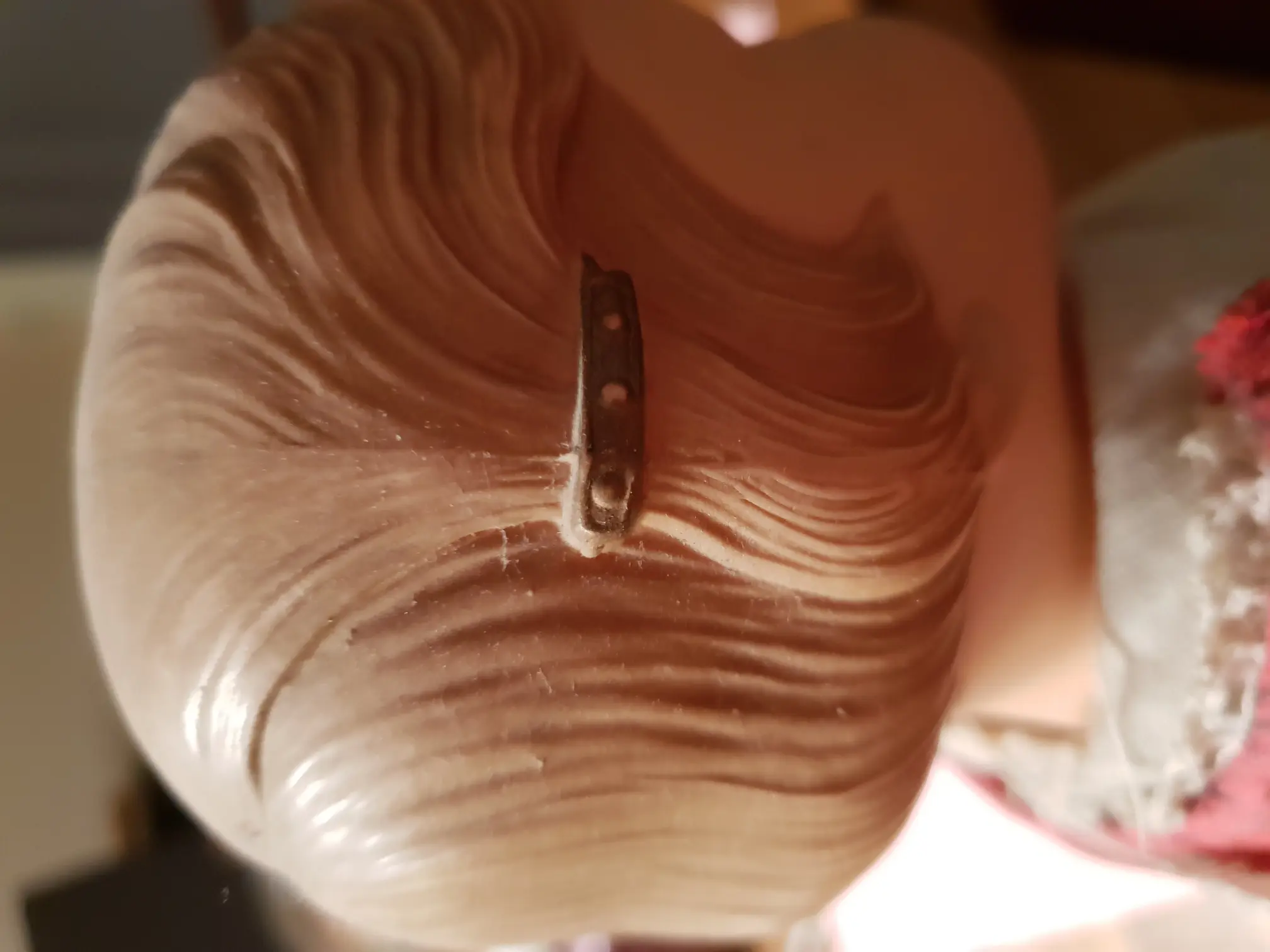 20190208_182859.jpg