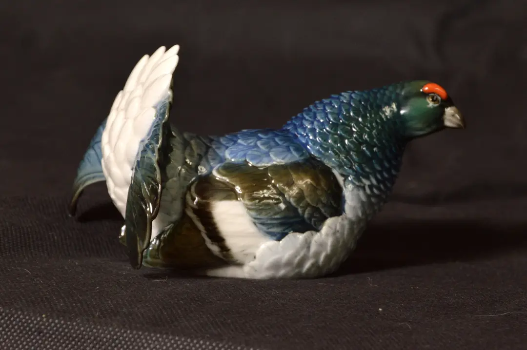DSC_5418_klein.jpg