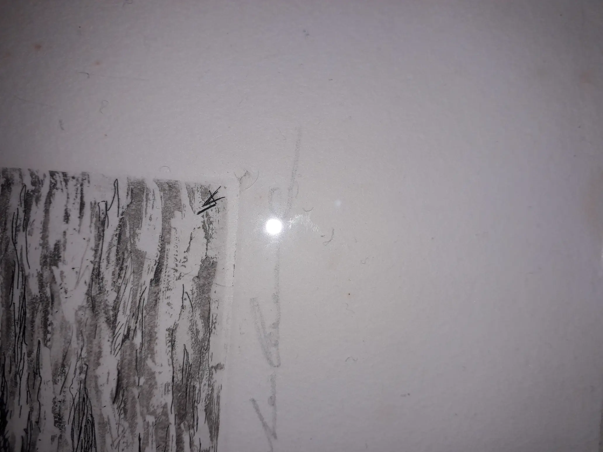 20190228_191728.jpg
