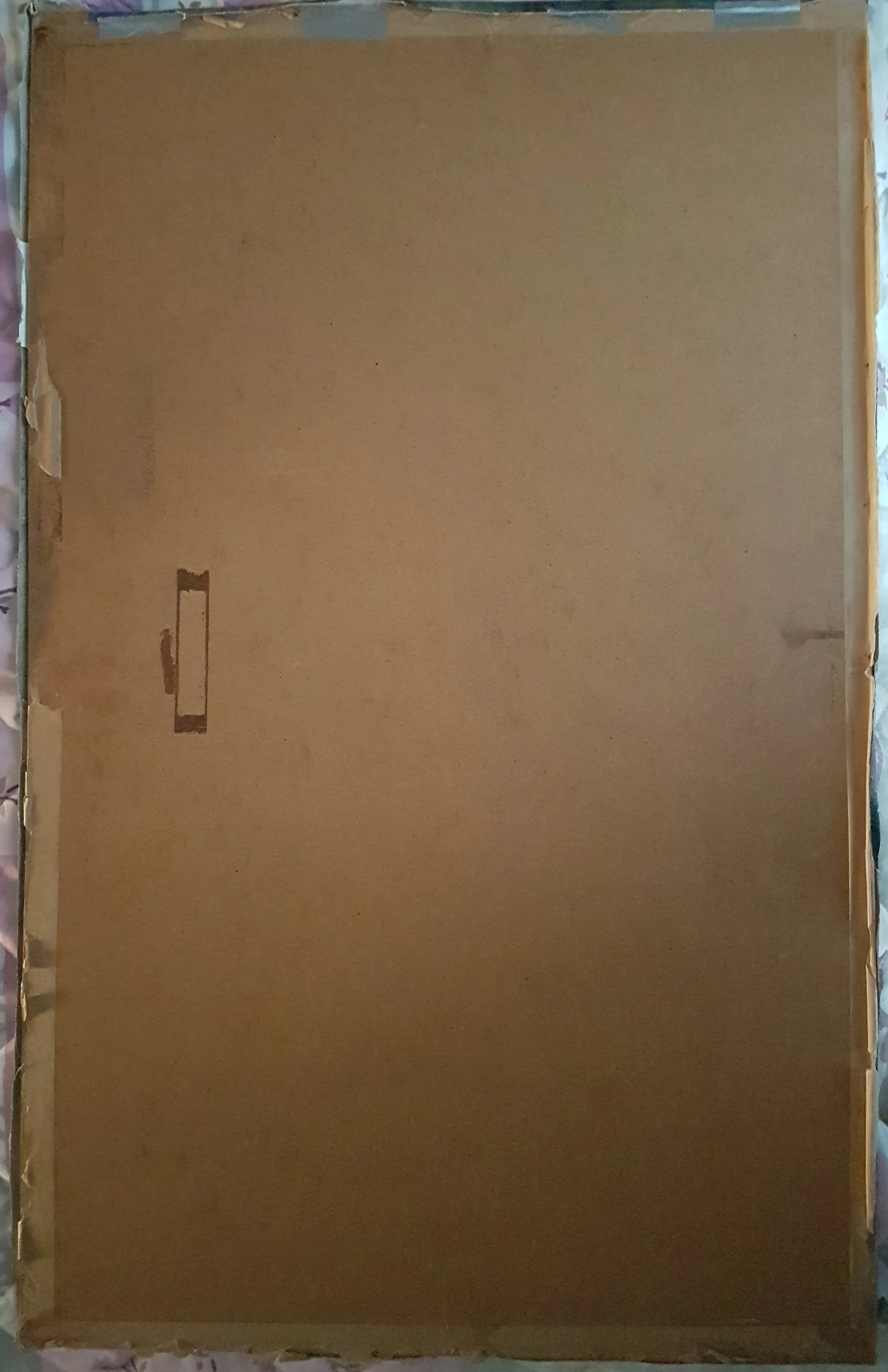 20190308_193142.jpg