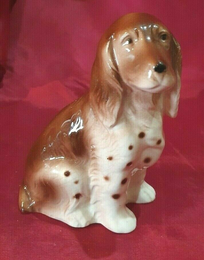 ganzer Hund