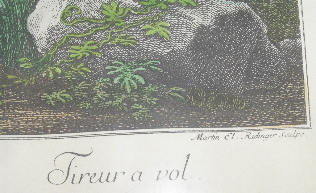 Bildausschnitt - Flugschütze